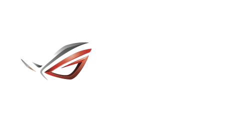 Republic of Gamer Logo